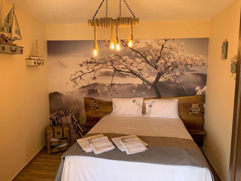 Oniropetra Pelion Mikro 호스텔 외부 사진